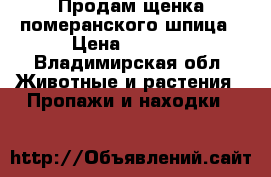 Продам щенка померанского шпица › Цена ­ 8 000 - Владимирская обл. Животные и растения » Пропажи и находки   